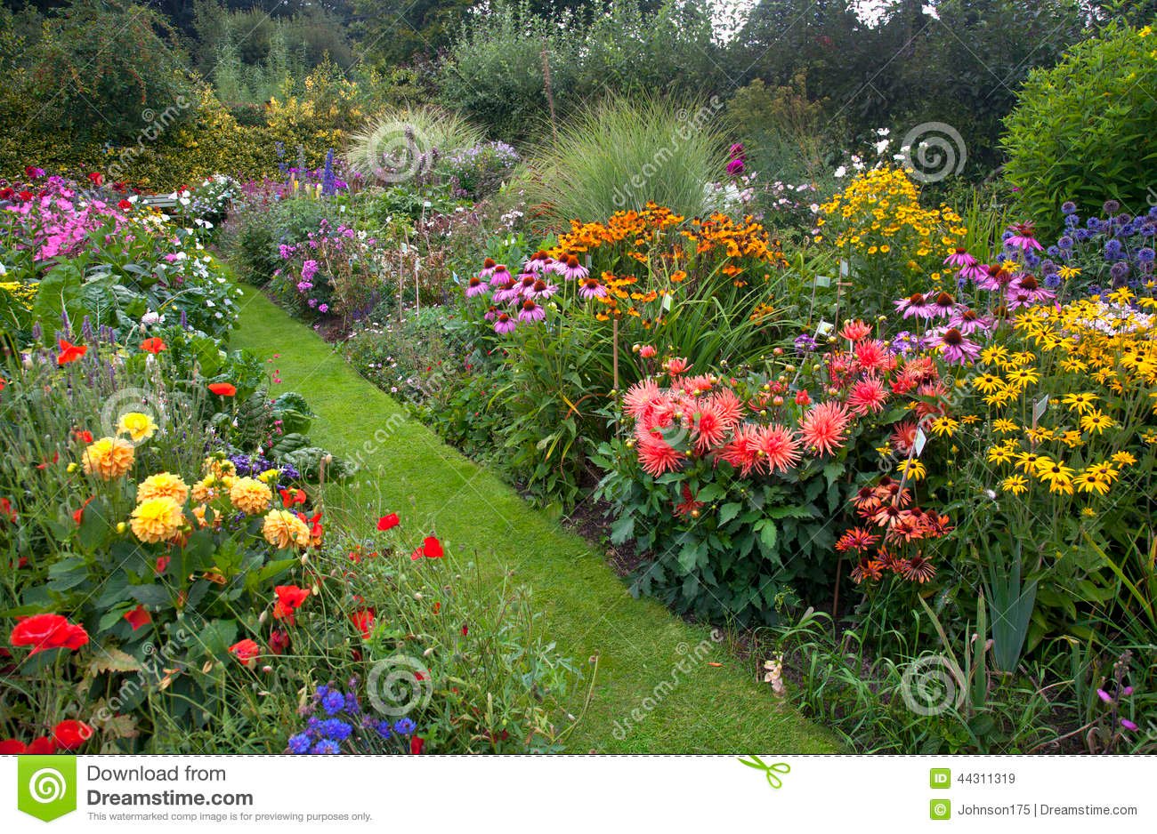 cottage garden stock image. image of beauty, blooming - 44311319