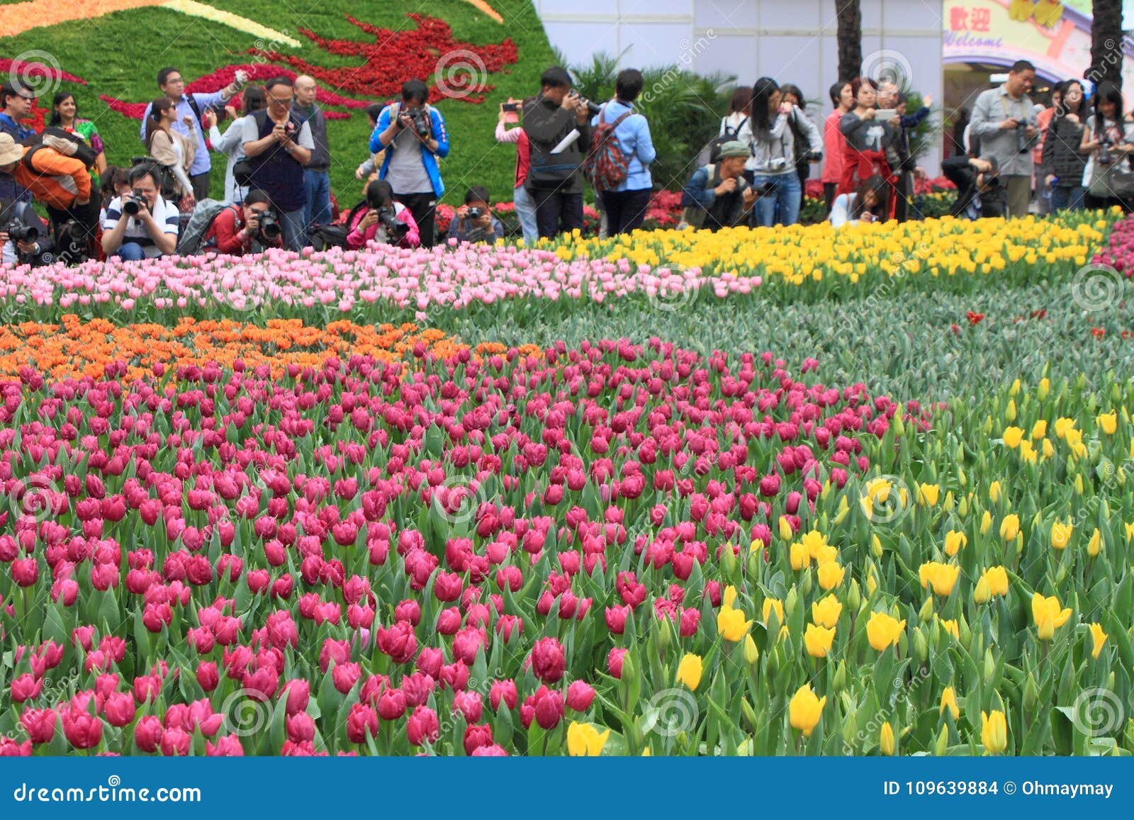 annual floral exhibition in hong kong editorial stock image - image
