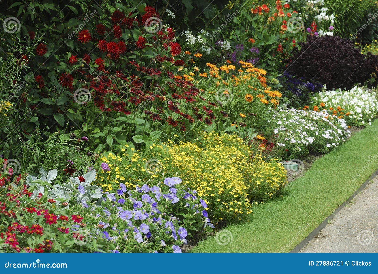 flower bed with assorted plants stock image - image of color, grass