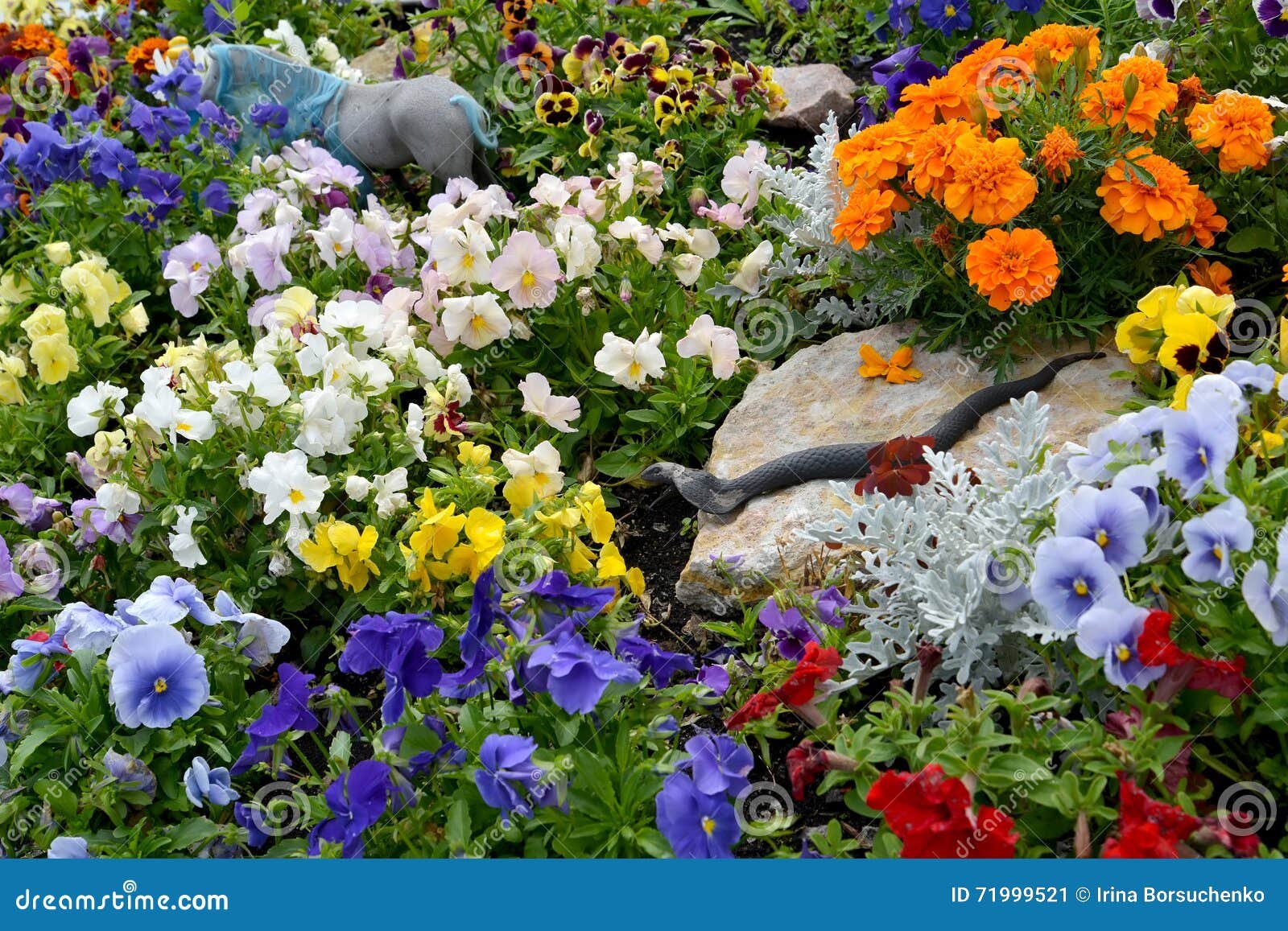 flower bed with a figure of a snake on a stone stock image - image