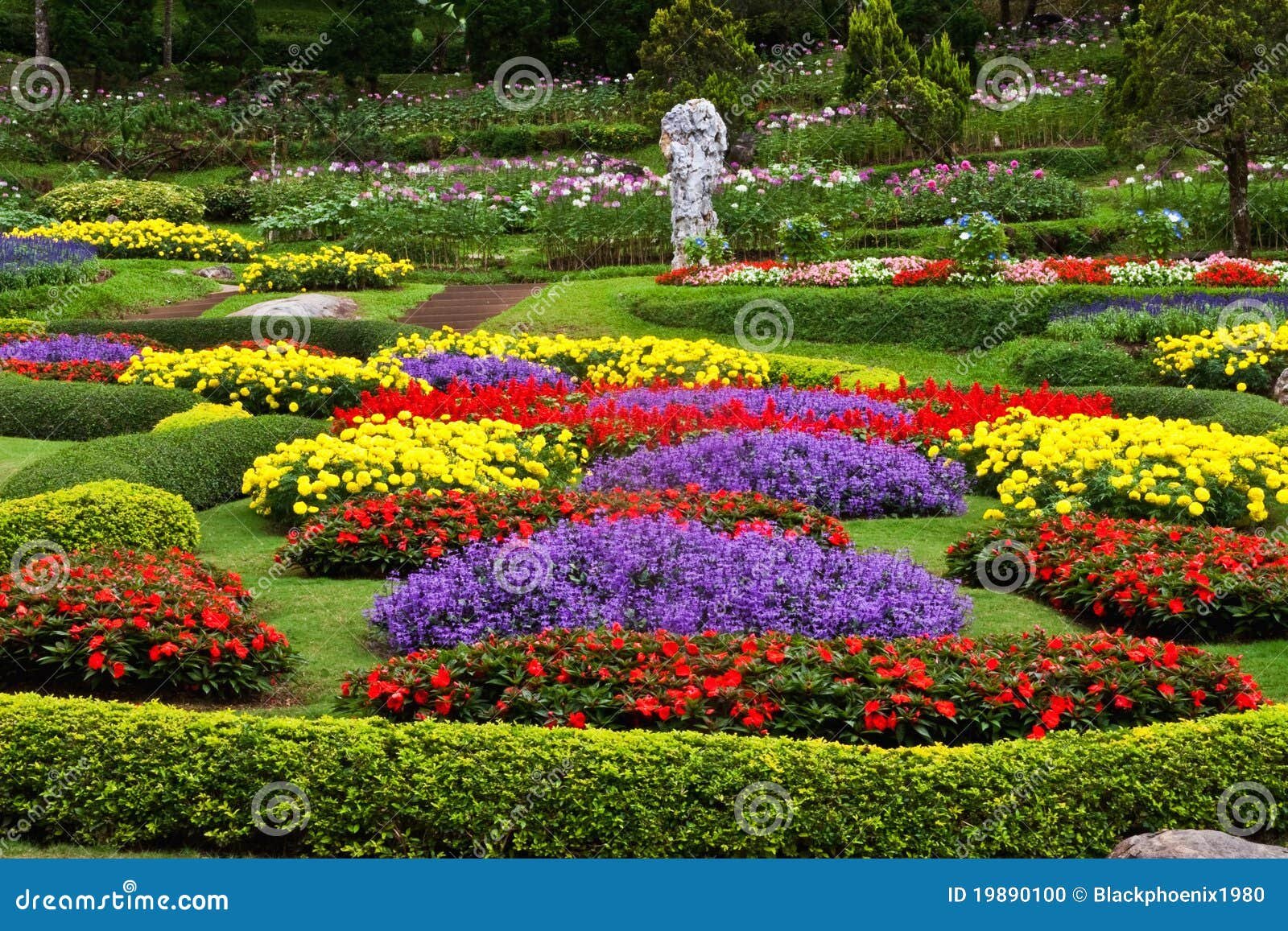 flower garden stock photo. image of garden, grow, landscape - 19890100