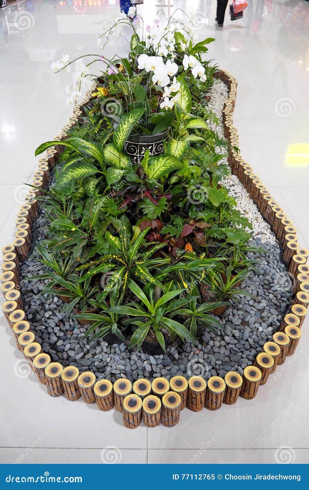 garden indoor stock image. image of green, plant, conservatory
