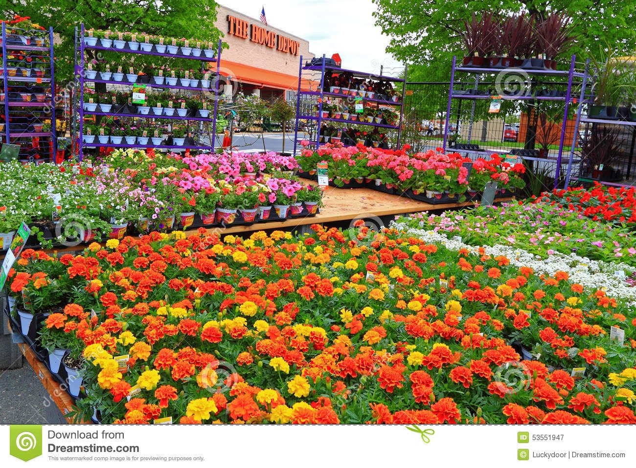 home depot nursery editorial photography. image of plants - 53551947