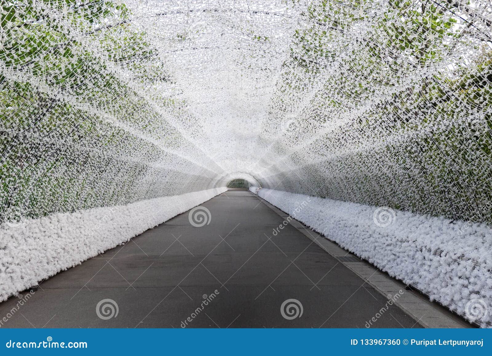 light tunnel at nabana no sato winter illumination, japan stock