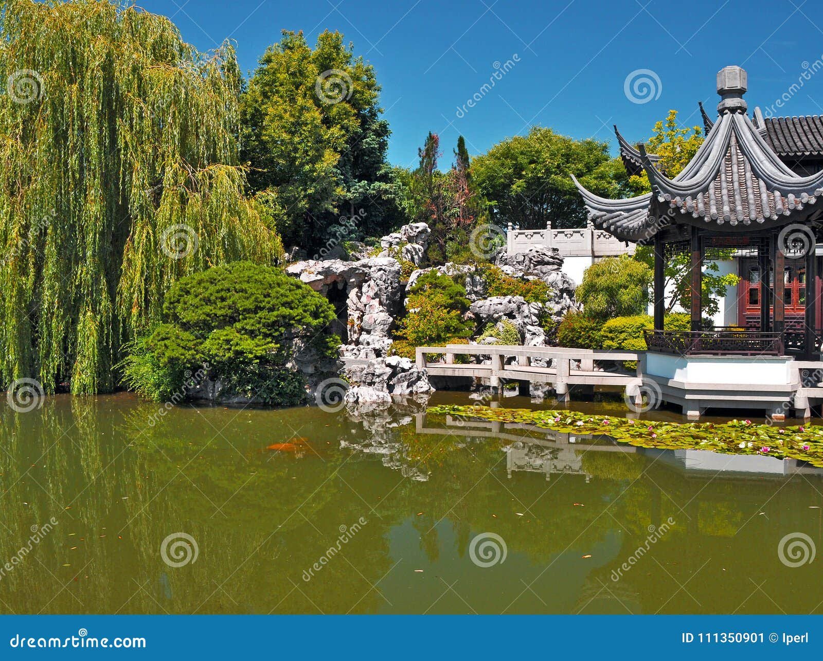 portland lan su chinese garden stock image - image of