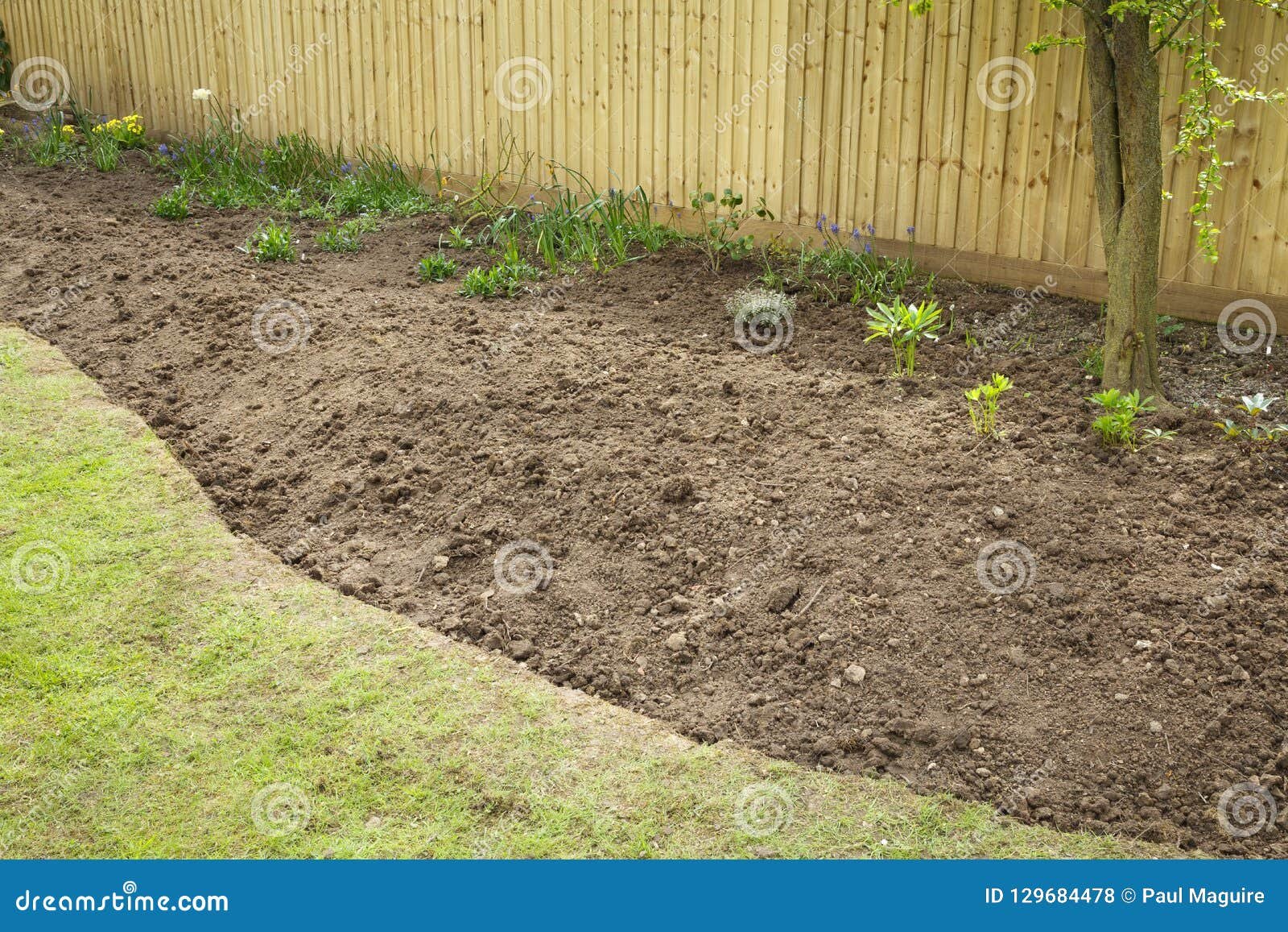 preparing a garden flowerbed for planting stock photo - image of